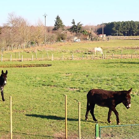Chambre En Campagne A 15 Min Circuit ! Bed and Breakfast Changé Buitenkant foto